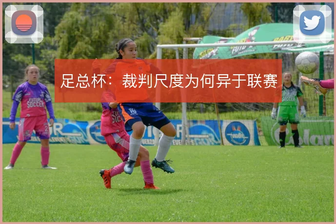 足总杯:裁判尺度为何异于联赛